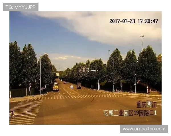 如何快速找到365真人官方地址，提供最全最新的官方入口导航